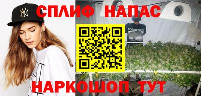 стаф Малоярославец